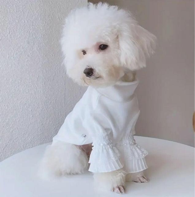 未使用小型犬 ペット服5点セット#L ワンピース ロンパース < ペット/手芸/園芸  未使用小型犬 ペット服5点セット#L ワンピース ロンパース < ペット/手芸/園芸の