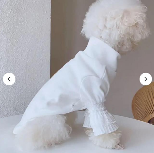 未使用小型犬 ペット服5点セット#L ワンピース ロンパース < ペット/手芸/園芸  未使用小型犬 ペット服5点セット#L ワンピース ロンパース < ペット/手芸/園芸の