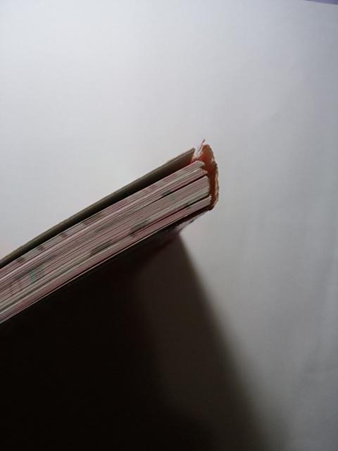 �}�C�����f�B ������ 8�� ������A��