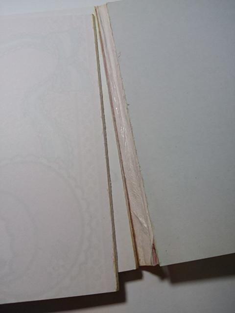 �}�C�����f�B ������ 8�� ������A��