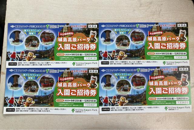 城島高原パーク チケット 4枚 < レジャー/スポーツ  城島高原パーク チケット 4枚  < レジャー/スポーツの