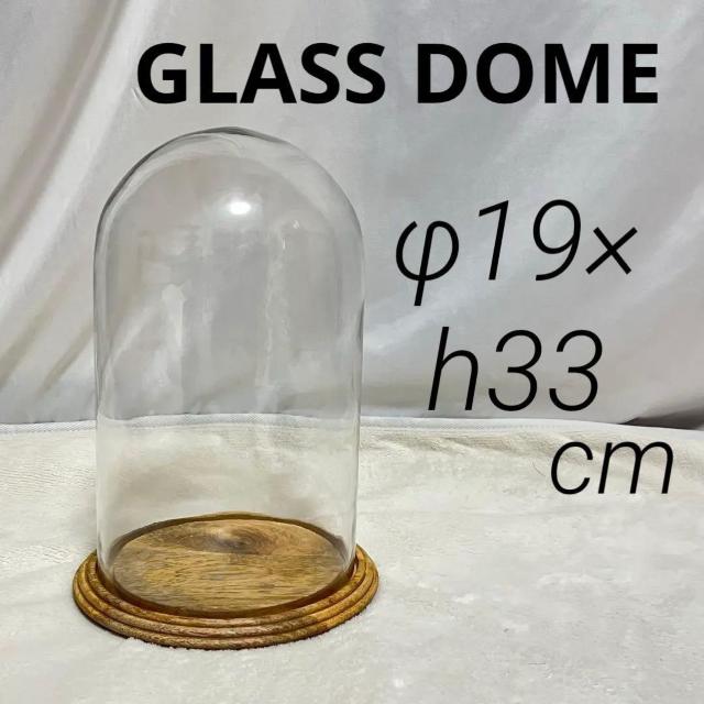 KXh[ KXP[X c ^ ؐ 33cm E GLASS DOME fBXvC   CeA/Ct 