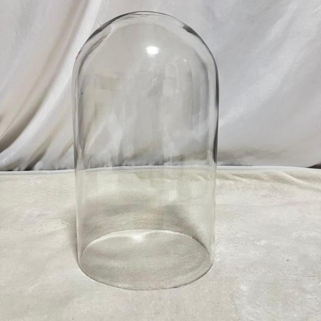 KXh[ KXP[X c ^ ؐ 33cm E GLASS DOME fBXvC  CeA/Ct 