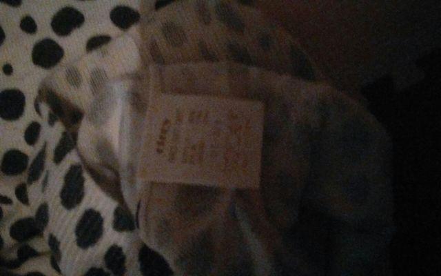 アンゴラ入り 美品 < 女性ファッション  アンゴラ入り 美品 < 女性ファッションの