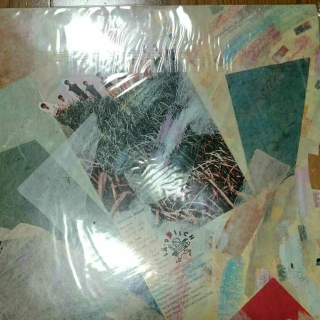 sbV Aj}r[g  LveR[h CfB[YLP  CD/DVD/rfI 