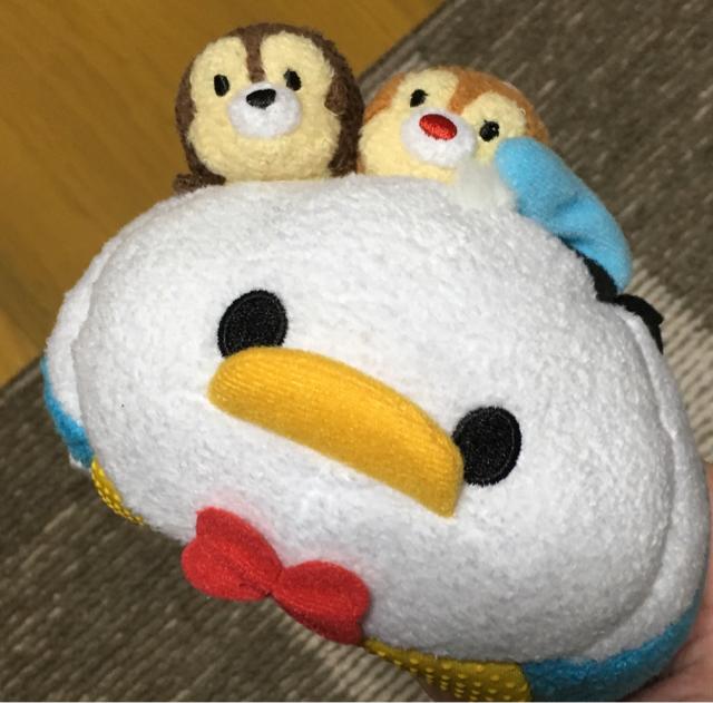 fBYj[ccEhih`bvf[oCX^h   CeA/Ct 