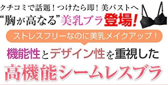 美乳・シームレスブラ『SORA BRA』ブラック1個3218円が < 女性ファッション  美乳・シームレスブラ『SORA BRA』ブラック1個3218円が < 女性ファッションの