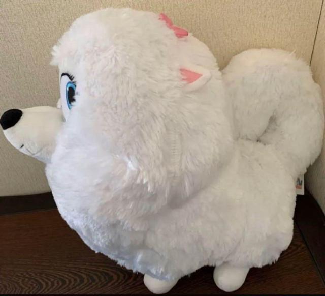 �y�b�g�@�M�W�F�b�g �M�K�W�����{�ʂ�����݁@���������@�����z�� �� ��������� 