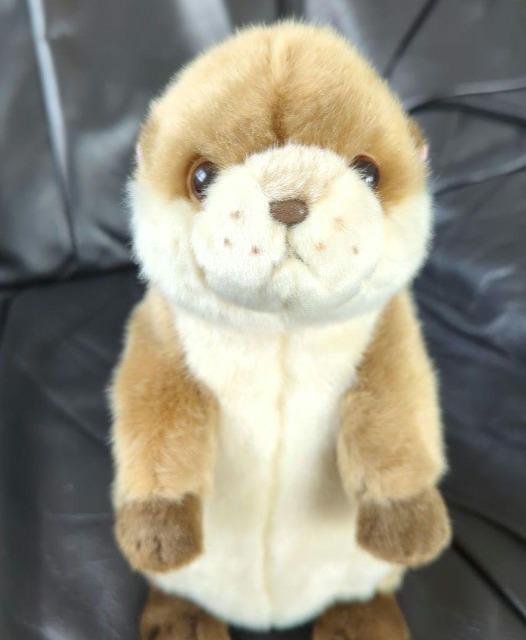 ゆうパック送料込■カワウソ ぬいぐるみ■コツメカワウソ ぬいぐるみ■株式会社AQUA 可愛いお顔 < おもちゃ ゆうパック送料込■カワウソ ぬいぐるみ■コツメカワウソ ぬいぐるみ■株式会社AQUA 可愛いお顔 < おもちゃの