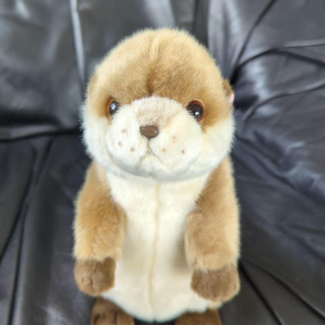 ゆうパック送料込■カワウソ ぬいぐるみ■コツメカワウソ ぬいぐるみ■株式会社AQUA 可愛いお顔 < おもちゃ ゆうパック送料込■カワウソ ぬいぐるみ■コツメカワウソ ぬいぐるみ■株式会社AQUA 可愛いお顔 < おもちゃの