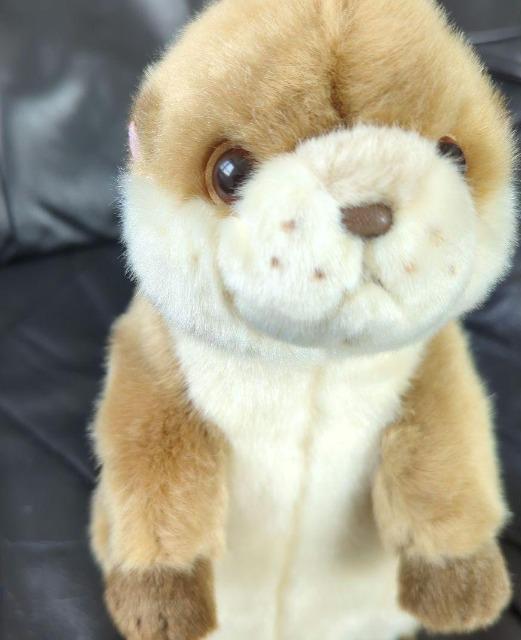 ゆうパック送料込■カワウソ ぬいぐるみ■コツメカワウソ ぬいぐるみ■株式会社AQUA 可愛いお顔 < おもちゃ ゆうパック送料込■カワウソ ぬいぐるみ■コツメカワウソ ぬいぐるみ■株式会社AQUA 可愛いお顔 < おもちゃの