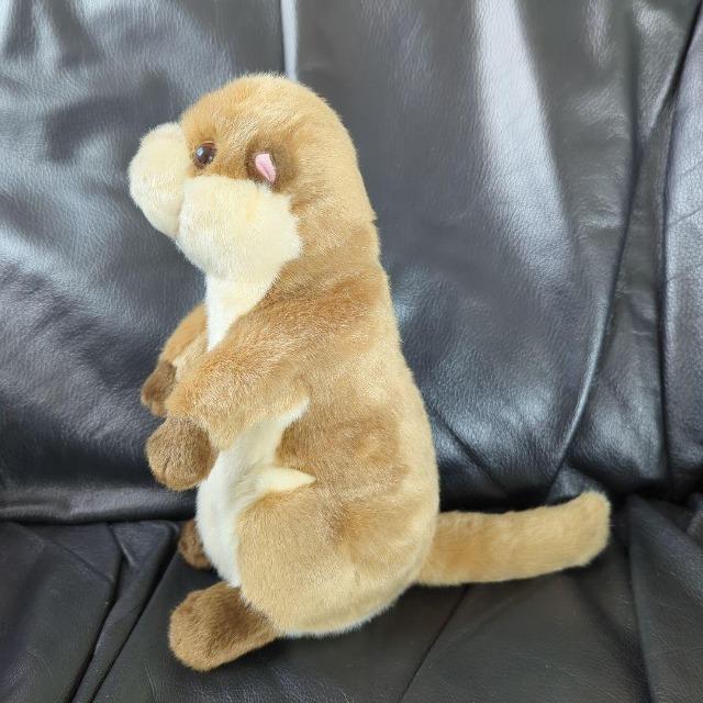 ゆうパック送料込■カワウソ ぬいぐるみ■コツメカワウソ ぬいぐるみ■株式会社AQUA 可愛いお顔 < おもちゃ ゆうパック送料込■カワウソ ぬいぐるみ■コツメカワウソ ぬいぐるみ■株式会社AQUA 可愛いお顔 < おもちゃの