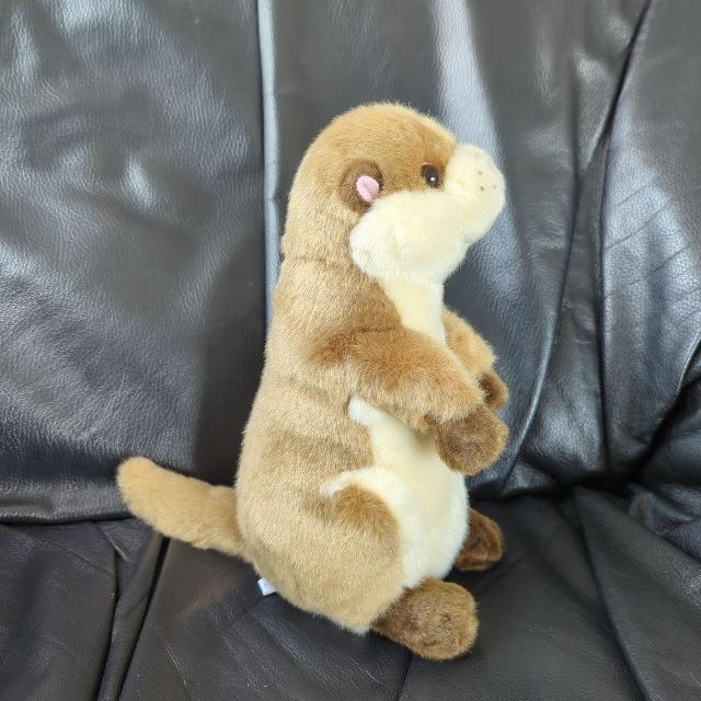 ゆうパック送料込■カワウソ ぬいぐるみ■コツメカワウソ ぬいぐるみ■株式会社AQUA 可愛いお顔 < おもちゃ ゆうパック送料込■カワウソ ぬいぐるみ■コツメカワウソ ぬいぐるみ■株式会社AQUA 可愛いお顔 < おもちゃの