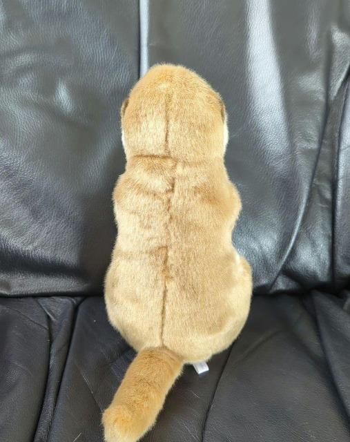 ゆうパック送料込■カワウソ ぬいぐるみ■コツメカワウソ ぬいぐるみ■株式会社AQUA 可愛いお顔 < おもちゃ ゆうパック送料込■カワウソ ぬいぐるみ■コツメカワウソ ぬいぐるみ■株式会社AQUA 可愛いお顔 < おもちゃの