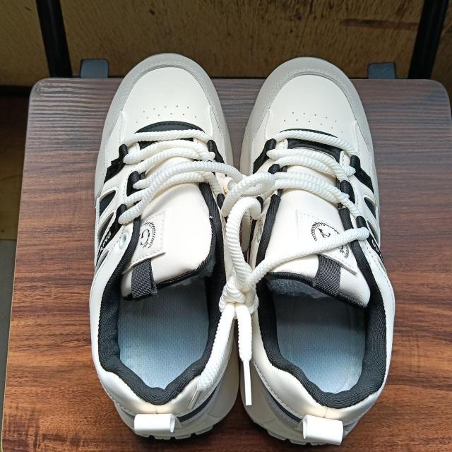 Vi 24.5cm fB[X Xj[J[ O[ V[Y C JWA  t@bV 