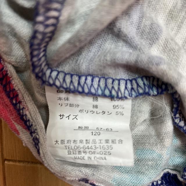 LbY ̎q TVc 120p  LbY/xr[ 