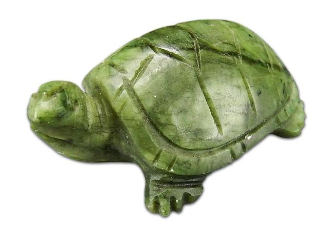 LVRΎ֖T[yeBT蒤蕶2_ZbgNuľ   CeA/Ct 