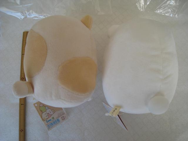  ݂R炵 @낭&˂&˂Zbg@ ʂ3C   