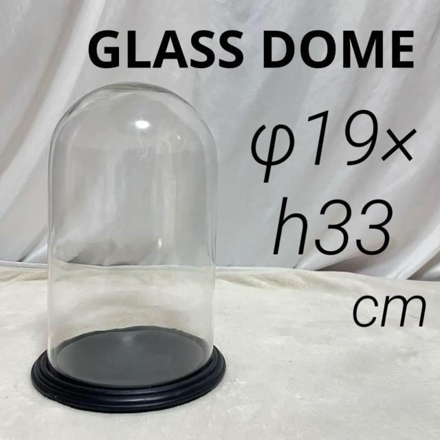 gp c ^ KXh[ KXP[X  ؐ 33cm F GLASS DOME@fBXvC   CeA/Ct 