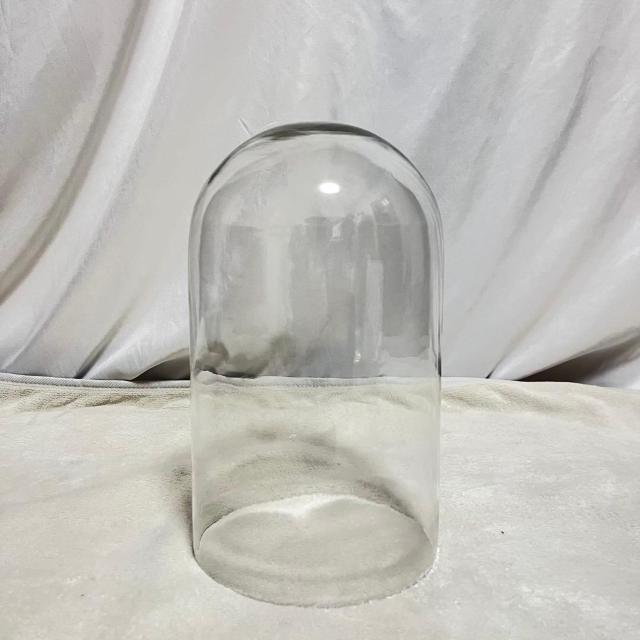 gp c ^ KXh[ KXP[X  ؐ 33cm F GLASS DOME@fBXvC  CeA/Ct 