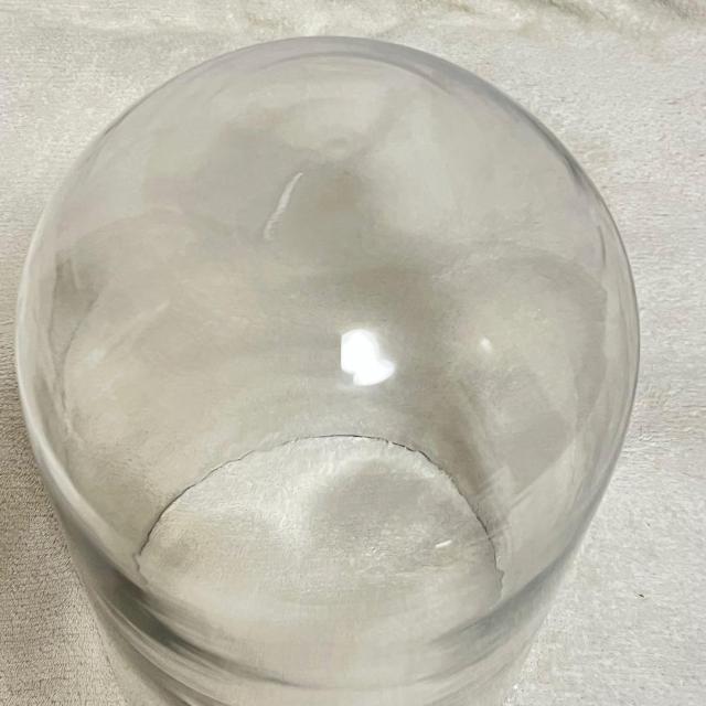 gp c ^ KXh[ KXP[X  ؐ 33cm F GLASS DOME@fBXvC  CeA/Ct 