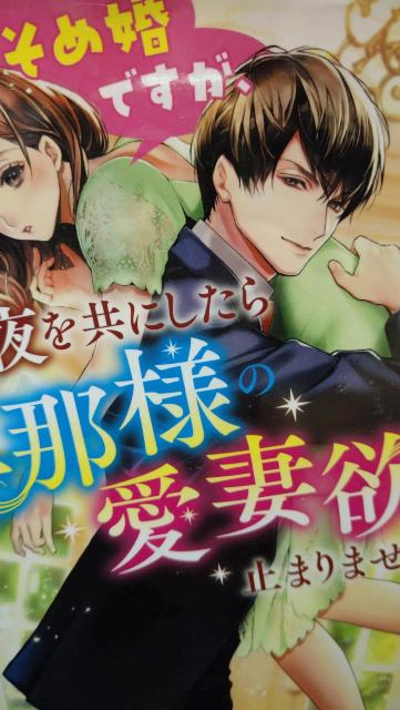 肻ߍłɂUߗl̈ȗ~~܂܂񁚖сx[Y   {/G 