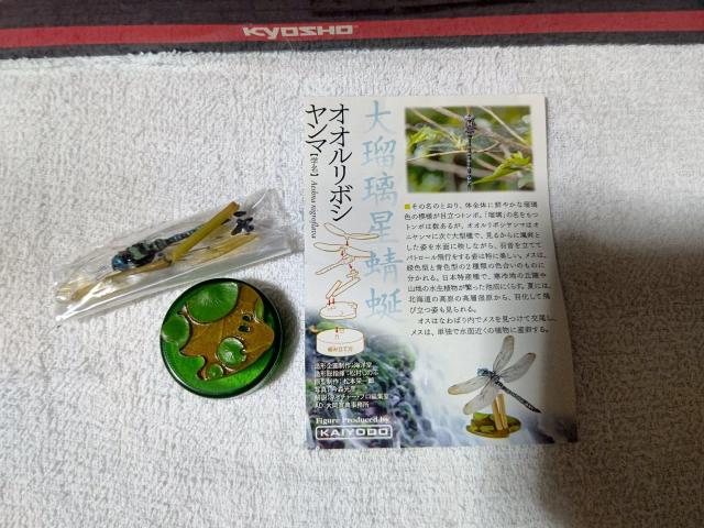 サントリー天然水 バードテイルズ2 オオルリボシヤンマ 未組立 < ホビー サントリー天然水 バードテイルズ2 オオルリボシヤンマ 未組立 < ホビーの