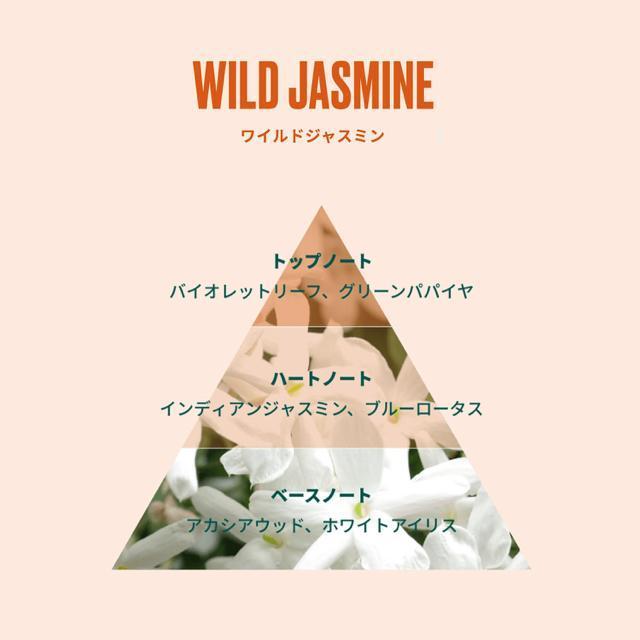 THE BODY SHOP ワイルド ジャスミン ボディクリーム < ブランド  THE BODY SHOP ワイルド ジャスミン ボディクリーム < ブランドの