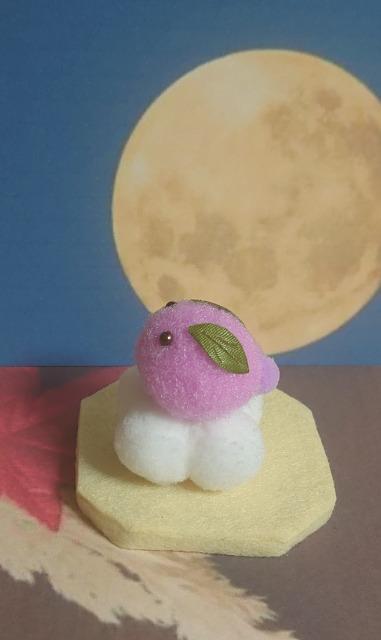 nhChJbvI||aَqwcqx  ybg/|/| 