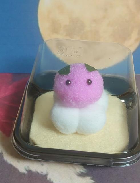 nhChJbvI||aَqwcqx  ybg/|/| 