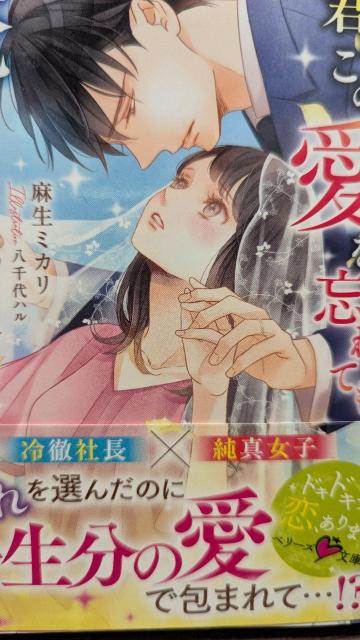 N̈YĂ͌NȂ~Jx[Y   {/G 