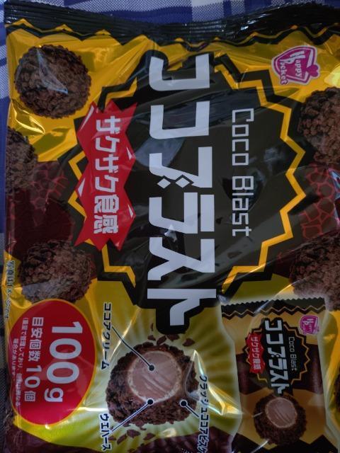 �R�R�u���X�g  �� �O����/�h�����N�� 