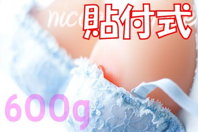 ySzQ̈̊VRoXg600glH[]  t@bV 