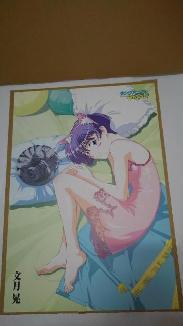 @񔄕i@@@SN@    Aj/R~bN/LN^[ 