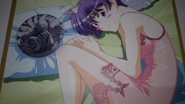 @񔄕i@@@SN@   Aj/R~bN/LN^[ 