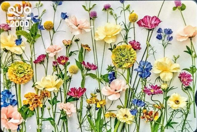 QUO�J�[�h 2000�~ �M�t�g�p �������� 