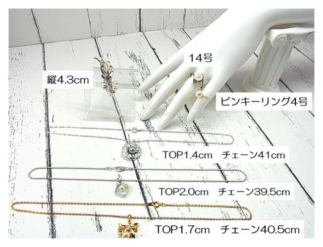 500�~�X�^���l�H�p�[���@�l�b�N���X�@�s���u���[�`�@�w�ց@6�_�܂Ƃ߂�