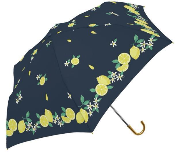 Vigpi Jp܂肽ݎP OXt@Co[ y Ռ ϕ 55cm  Vo[R[eBO Oɋ   t@bV 