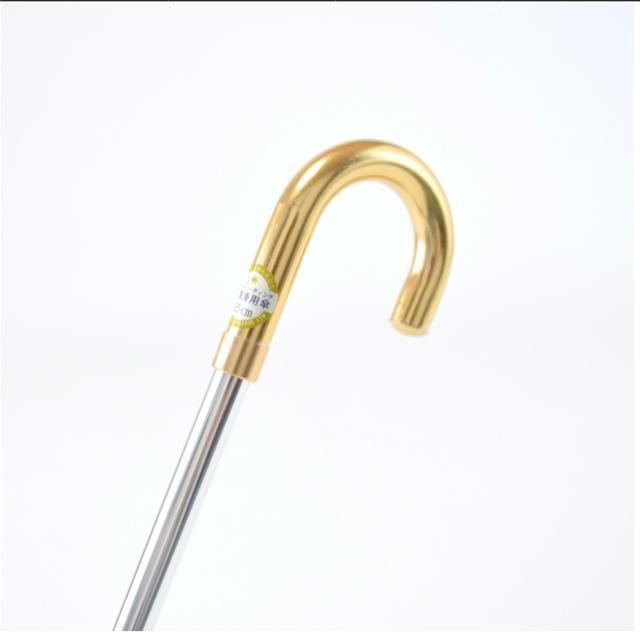 Vigpi Jp܂肽ݎP OXt@Co[ y Ռ ϕ 55cm  Vo[R[eBO Oɋ  t@bV 