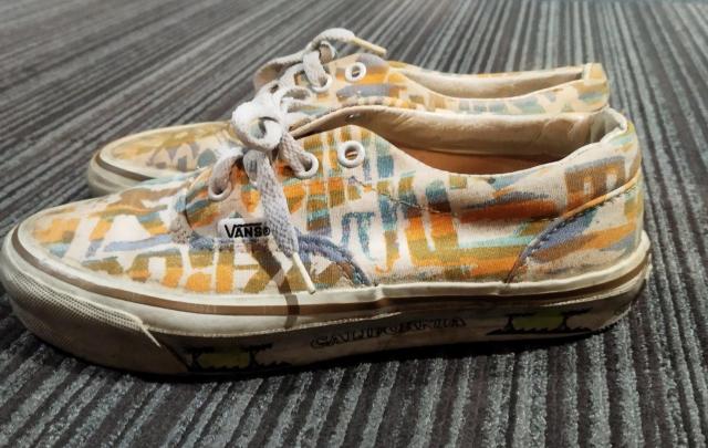 VANS@re[W@Jt􉽊w͗lLoXXj[J[  t@bV 