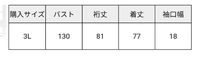 3L★pattok★ライトデニムロング丈MA-1ブルゾン★新品★送料無料 < 女性ファッション 3L★pattok★ライトデニムロング丈MA-1ブルゾン★新品★送料無料 < 女性ファッションの