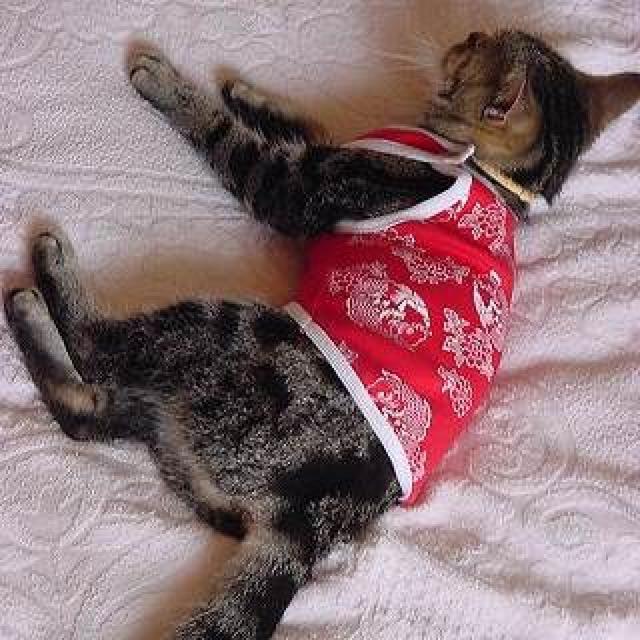 L a͓I jOLbg L bhVi   ybg/|/| 