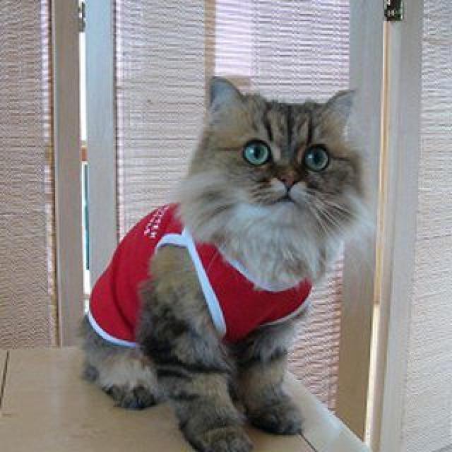 L a͓I jOLbg L bhVi  ybg/|/| 