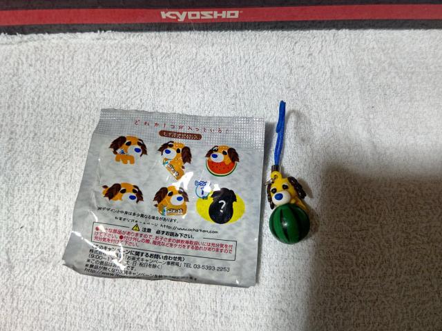 �ɓ��� '04 �ނ����� ���n  �}�X�R�b�g  �X�g���b�v�S6�� ��1�V�[�N���b�g ���g�p�@ �� �z�r�[�� 