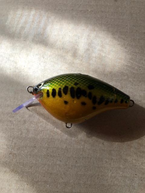 オールドタカミヤ バスキング < レジャー/スポーツ  オールドタカミヤ バスキング < レジャー/スポーツの