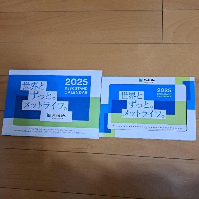 2025NbgCt̑J_[(񔄕i)   zr[ 