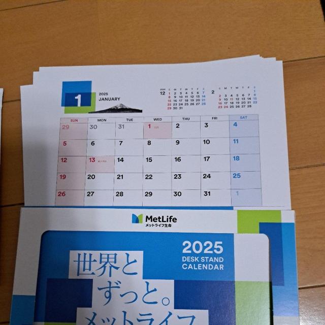 2025NbgCt̑J_[(񔄕i)  zr[ 