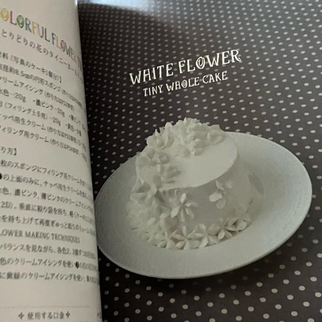 希少 ウィルトン カップケーキ ケーキ デコレーション 絵本レシピ < 本/雑誌 希少 ウィルトン カップケーキ ケーキ デコレーション 絵本レシピ < 本/雑誌の