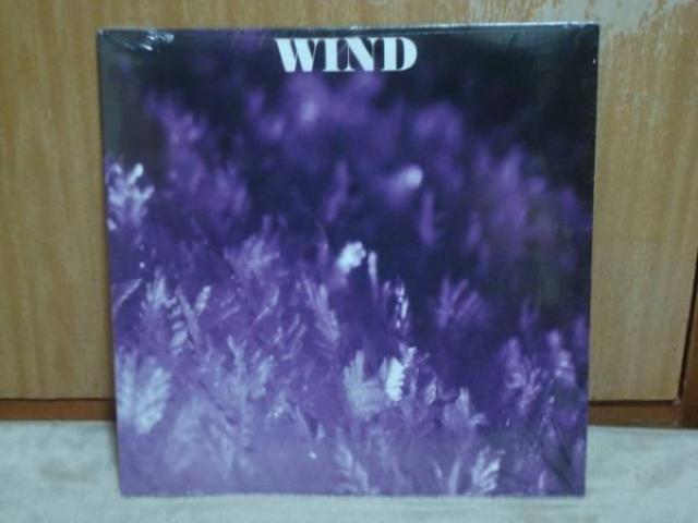 WIND AND FRIENDS / WIND 輸入盤LP 新品同様 < CD/DVD/ビデオ  WIND AND FRIENDS / WIND 輸入盤LP 新品同様  < CD/DVD/ビデオの