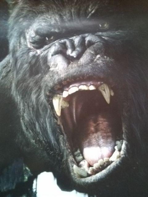 iyp`R@LORO z񔄕i|X^[   zr[ 